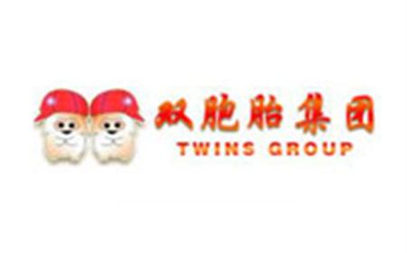 Twins Group